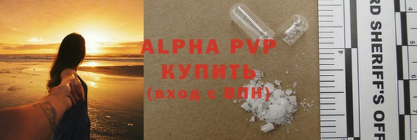 индика Сосновка