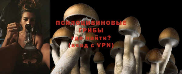 ECSTASY Сосновый Бор