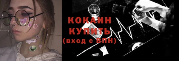 индика Сосновка
