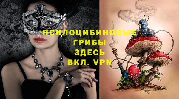 индика Сосновка