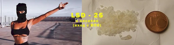 индика Сосновка