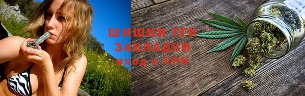 индика Сосновка