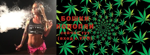 спиды Сосновоборск