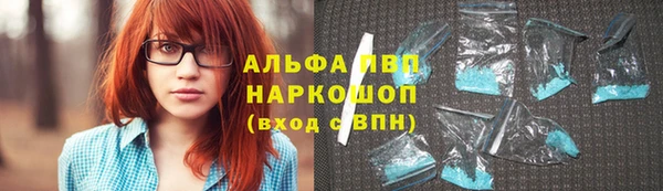 индика Сосновка
