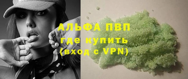 индика Сосновка