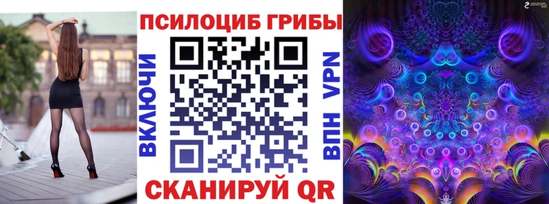 наркота  Борзя  Галлюциногенные грибы Psilocybe 
