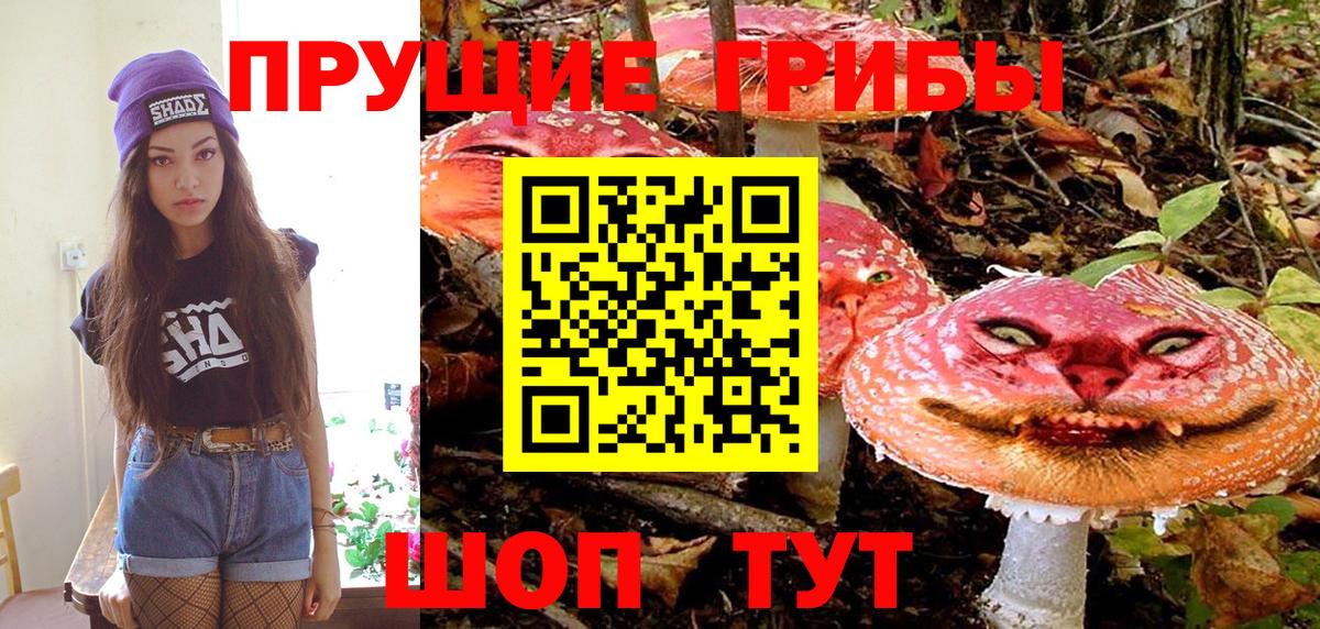 Галлюциногенные грибы Magic Shrooms  Вход с VPN  купить   Борзя  Псилоцибиновые грибы GOLDEN TEACHER 