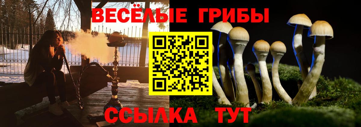 Псилоцибиновые грибы прущие грибы Борзя