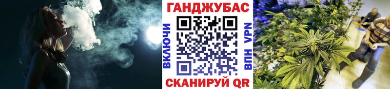Бошки марихуана гибрид Борзя